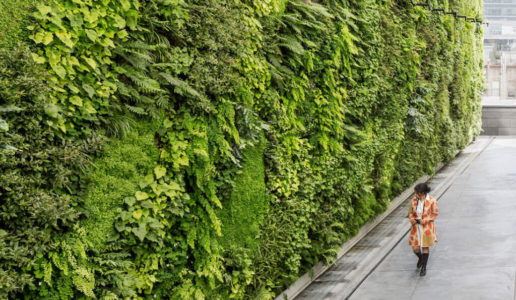 The Beauty and Benefits of a Vertical Green Wall System Transforming Urban Spaces Naturally