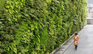 The Beauty and Benefits of a Vertical Green Wall System Transforming Urban Spaces Naturally